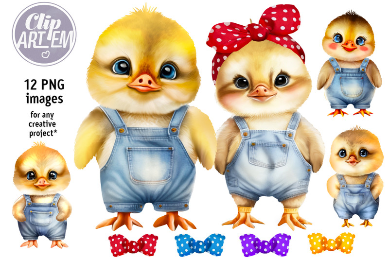 baby-chicks-and-ducklings-clip-art-bundle-12-png-images-blue-denim