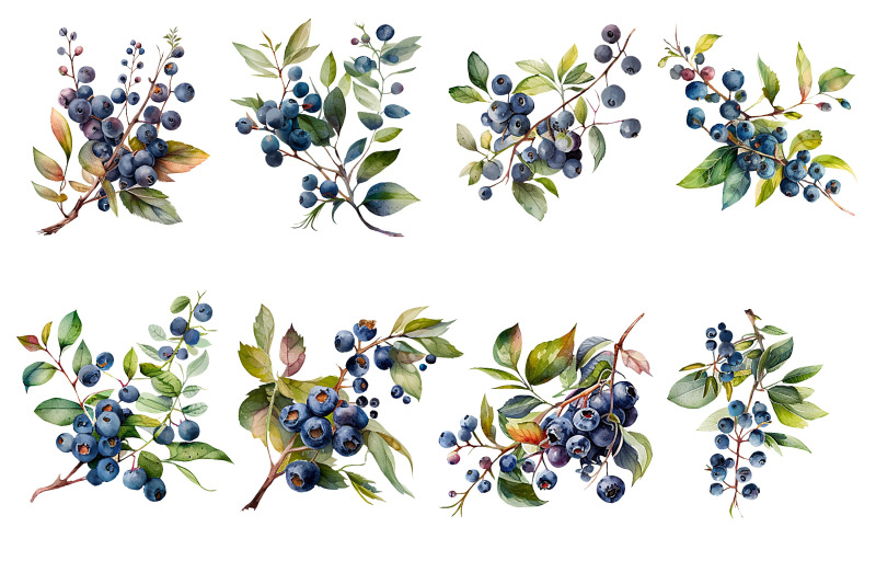 blueberry-pie-watercolor-clipart