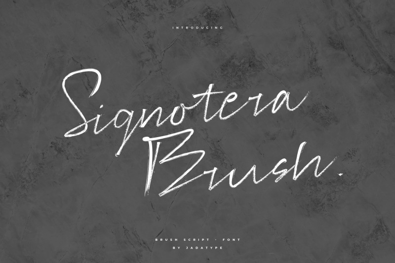signotera-brush-font