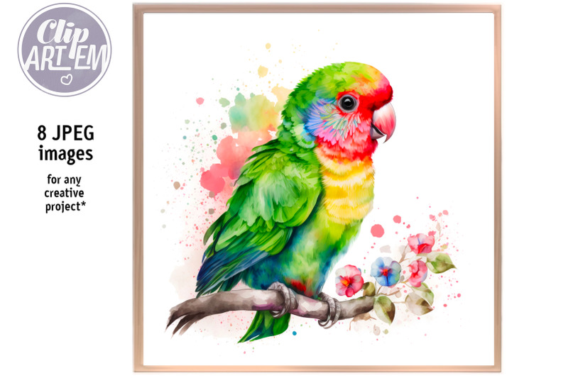 colorful-baby-parrot-8-jpeg-images-bundle-watercolor-painting-wall-art