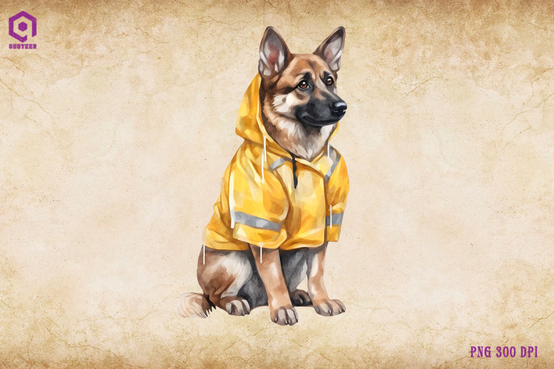 german-shepherd-dog-wearing-raincost