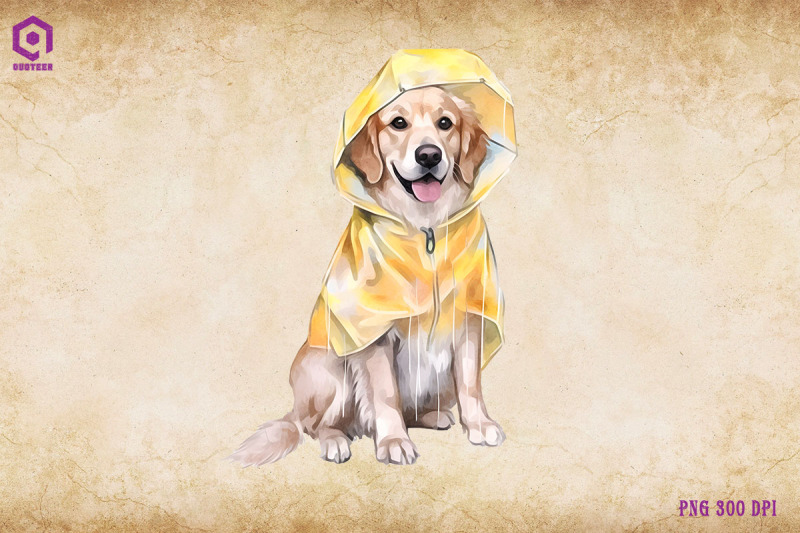 golden-retriever-dog-wearing-raincost