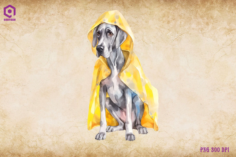 great-dane-dog-wearing-raincost