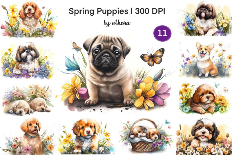 spring-puppies