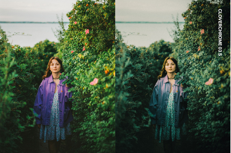 tinted-film-presets-and-luts