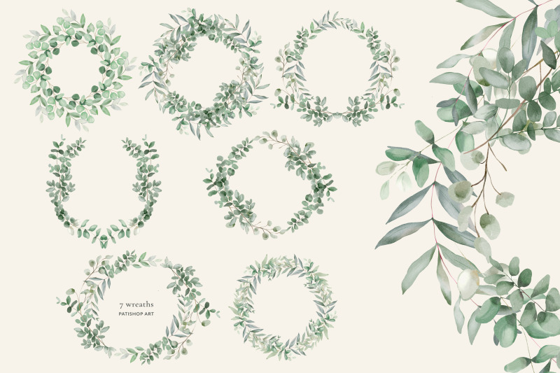 watercolor-eucalyptus-clipart-set