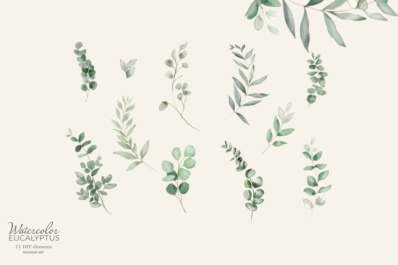 watercolor-eucalyptus-clipart-set