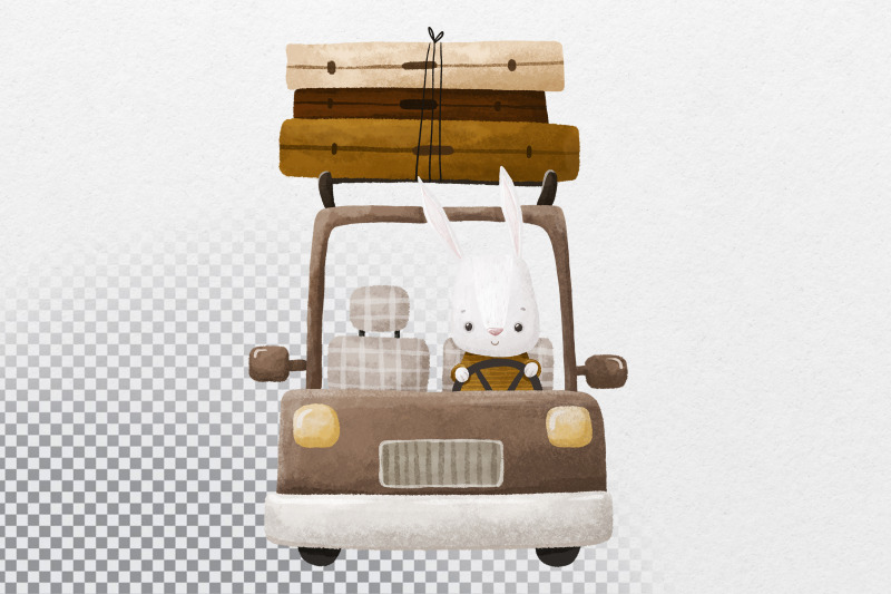 rabbit-driver-on-the-road