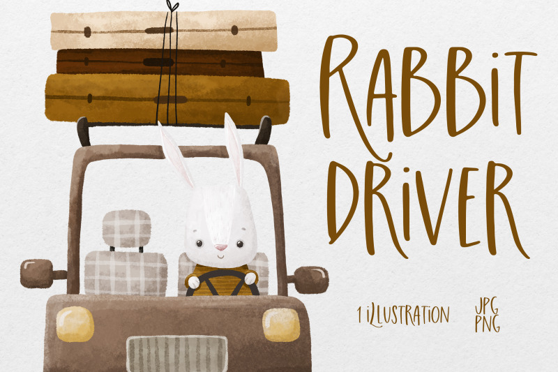 rabbit-driver-on-the-road