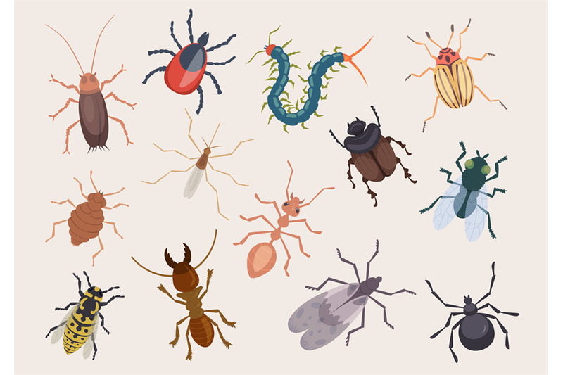 harmful-bugs-danger-insects-ladybug-ants-pests-roaches-centipede-flea