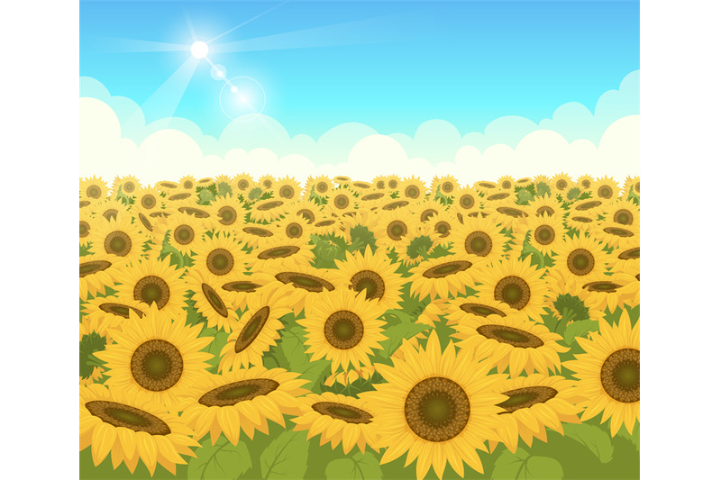 sunflower-field-nature-light-outdoor-background-with-beautiful-yellow