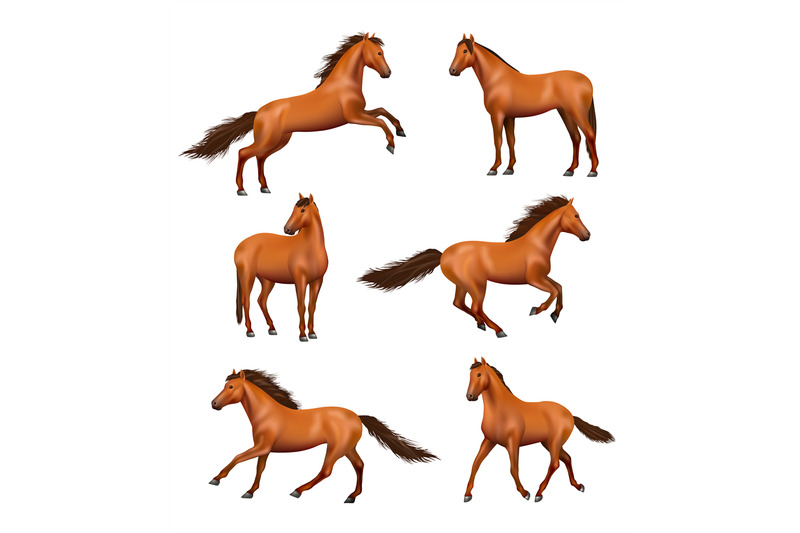 horse-realistic-wild-galloping-horses-fast-running-different-action-p