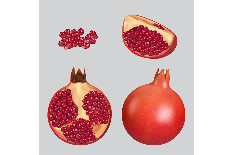 pomegranate-healthy-natural-fruits-decent-vector-realistic-illustrati