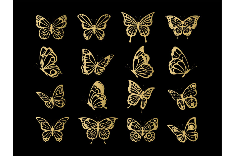 gold-wings-butterfly-golden-insect-bugs-tatto-silhouettes-queen-mona