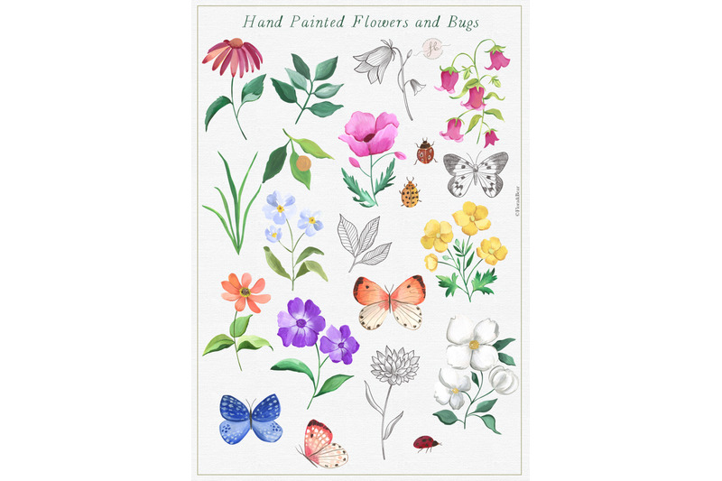 wildflowers-watercolor-set