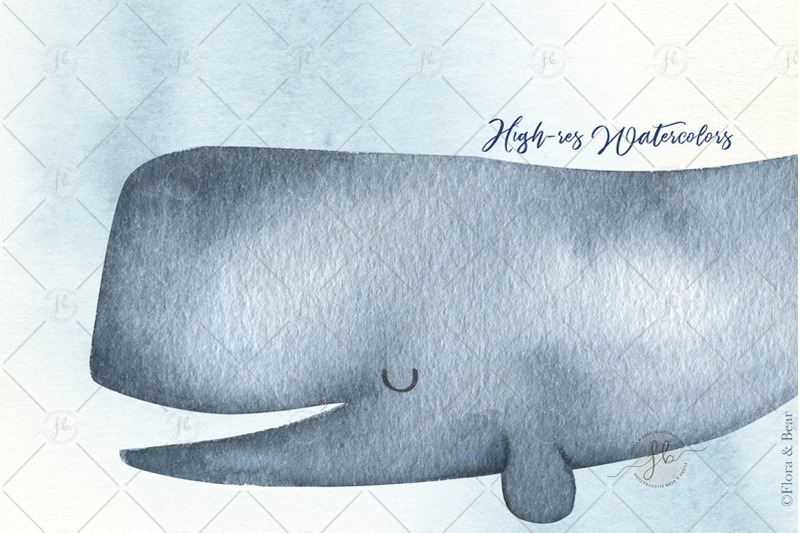 whales-sea-watercolor-clipart-set