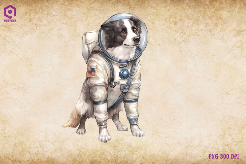 border-collie-dog-wearing-spacesuit