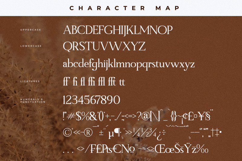 manfitte-typeface