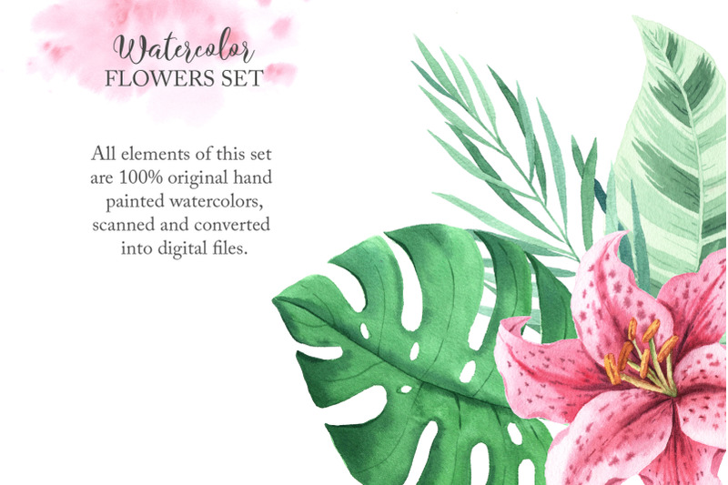 watercolor-tropical-flowers-clipart