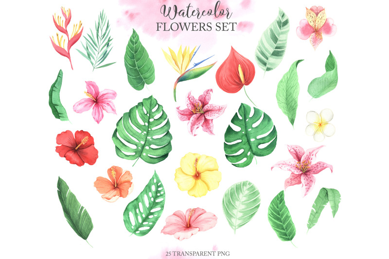 watercolor-tropical-flowers-clipart
