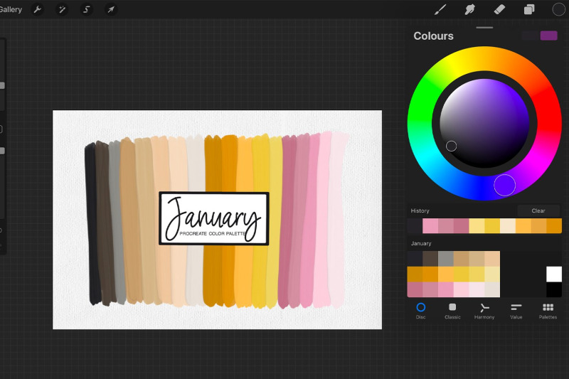 january-procreate-color-palette-new-years-eve