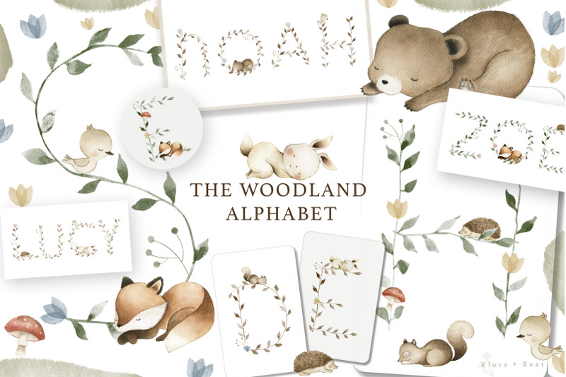 woodland-alphabet-watercolor-animals
