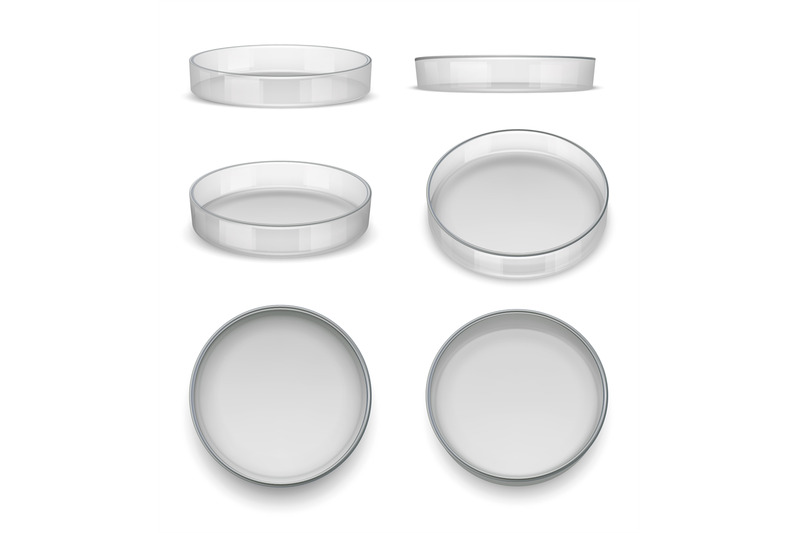 petri-dish-round-dish-for-analysis-or-laboratory-experiments-decent-v