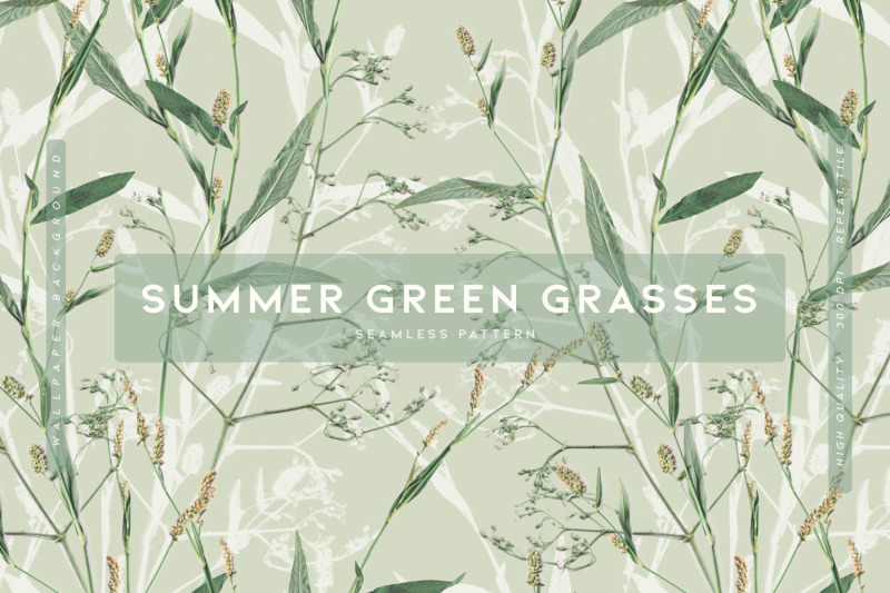 summer-green-grasses