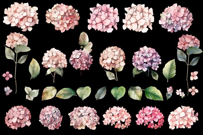 hydrangea-clipart-watercolor-floral-clipart