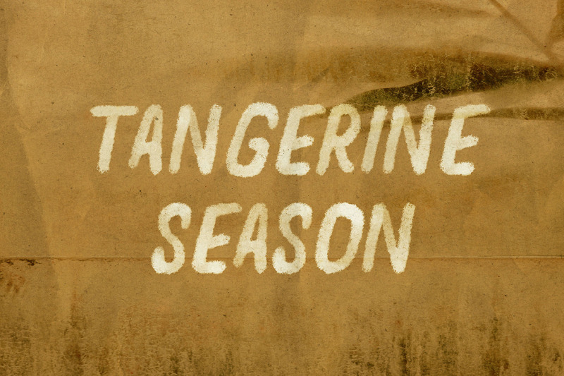 tangerine-season-svg-brush-font