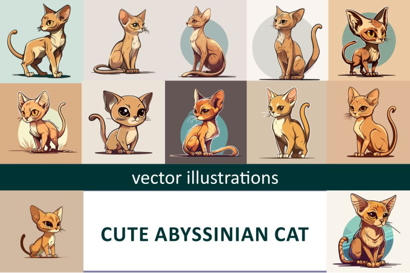 cute-little-abyssinian-cat