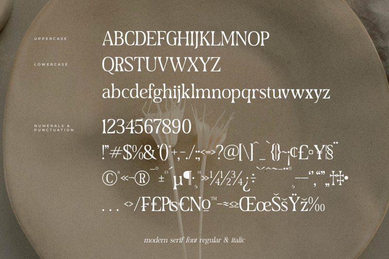 dairing-typeface