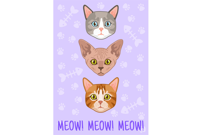 cats-card-different-breed-cute-cat-head-meow-text-poster-or-t-shirt