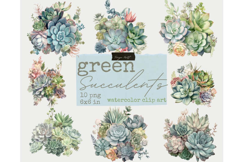 green-succulents-png-watercolor-clipart