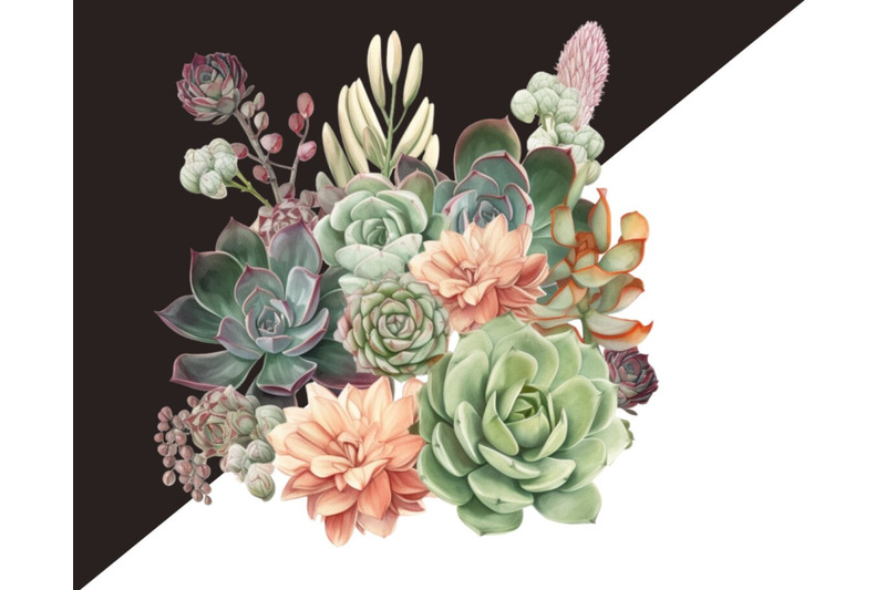 green-succulents-png-watercolor-clipart