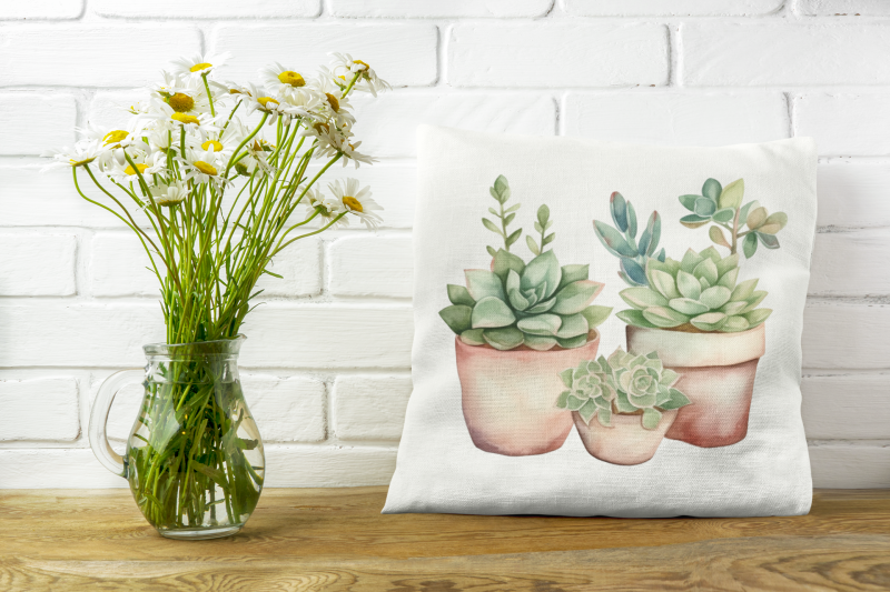 watercolor-succulent-clipart-16-png-files