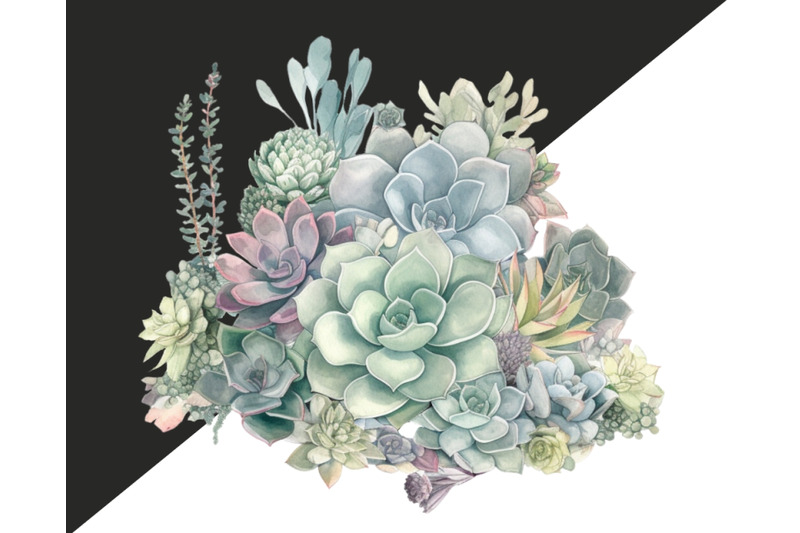 watercolor-succulent-clipart-16-png-files