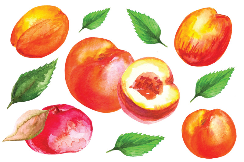 peaches-set