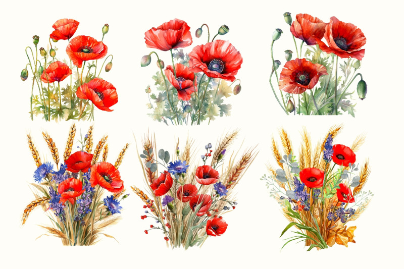 poppy-set-watercolor-clipart