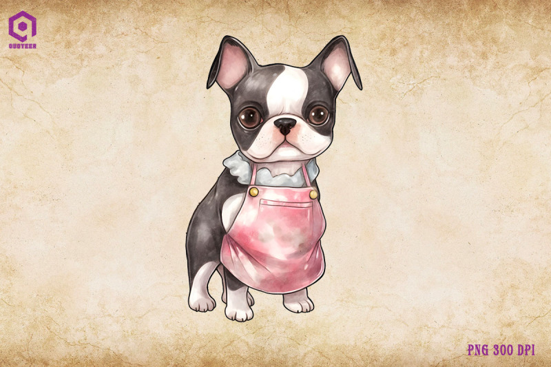 boston-terrier-dog-wearing-apron