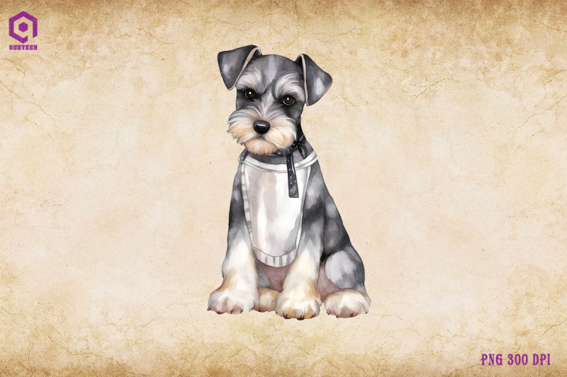 miniature-schnauzer-dog-wearing-apron