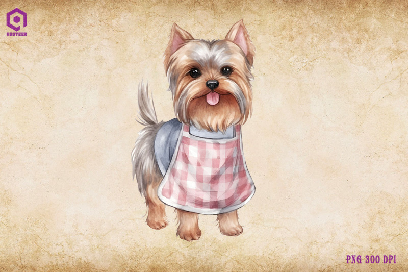 yorkshire-terrier-dog-wearing-apron