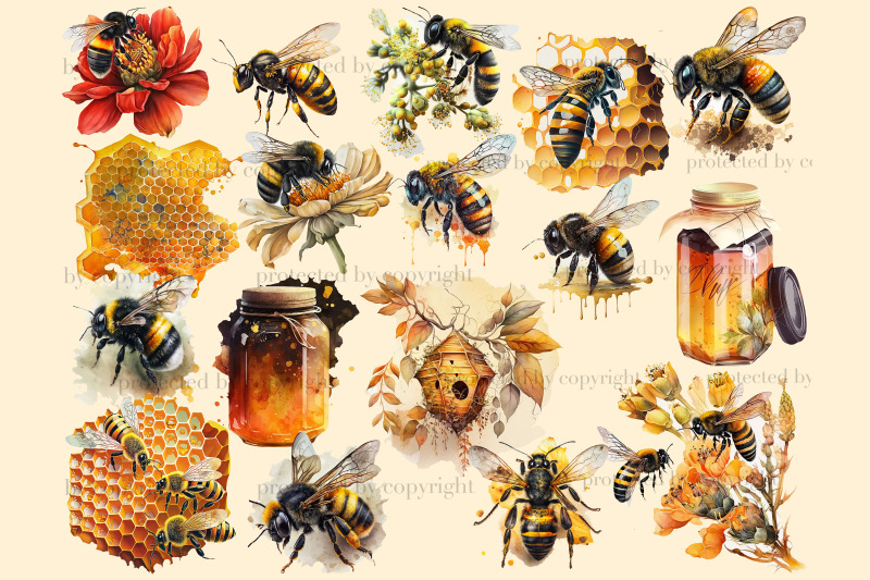 honey-bee-clipart-watercolor-honey-illustration