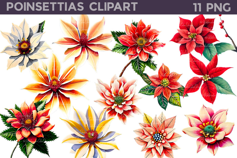 poinsettias-clipart-christmas-flowers-clipart-nbsp