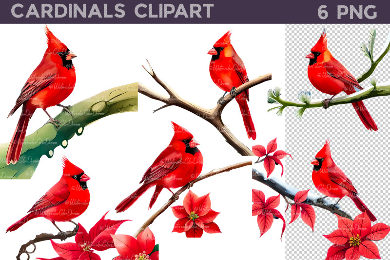 cardinals-clipart-christmas-flowers-clipart