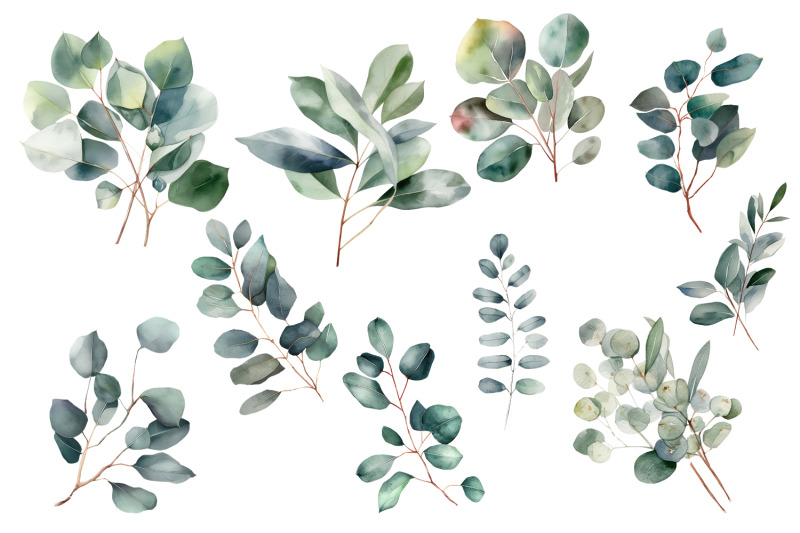 eucalyptus-watercolor-leaves-clipart