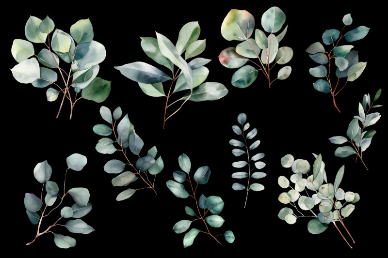 eucalyptus-watercolor-leaves-clipart