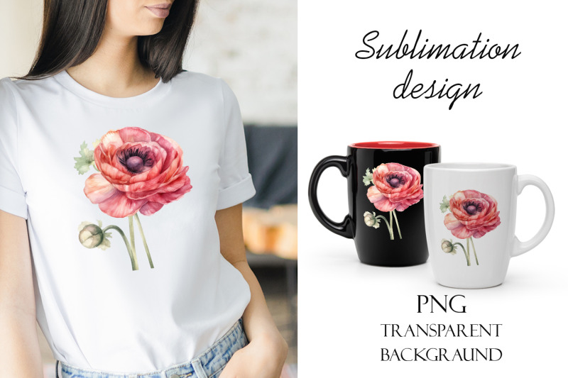 sublimation-design-pink-ranunculus-flowers-png-file