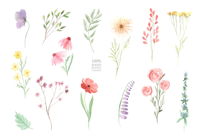 watercolor-wildflowers-clipart-png