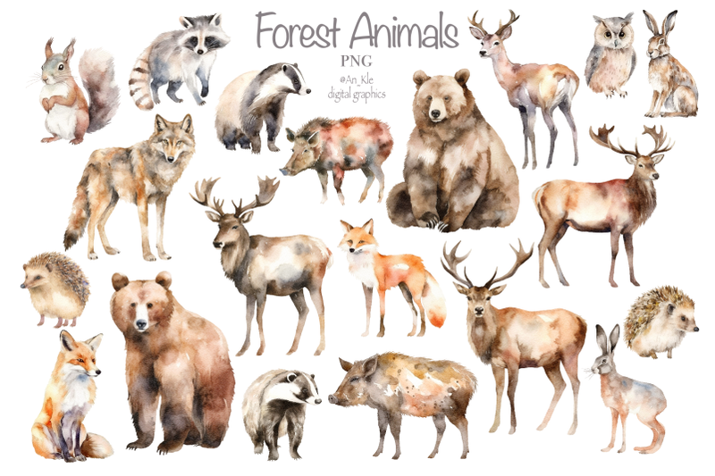 forest-animals-watercolor-clipart